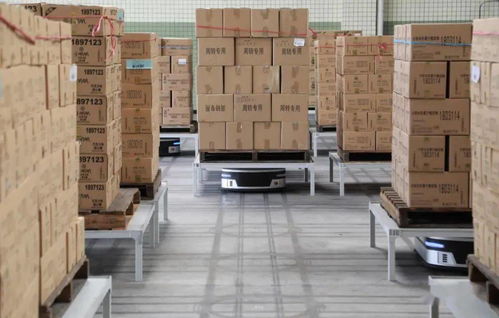 十問曠視印奇 AI公司步入深水區(qū)，友商其實不是友商，裝卸搬運的現實與挑戰(zhàn)